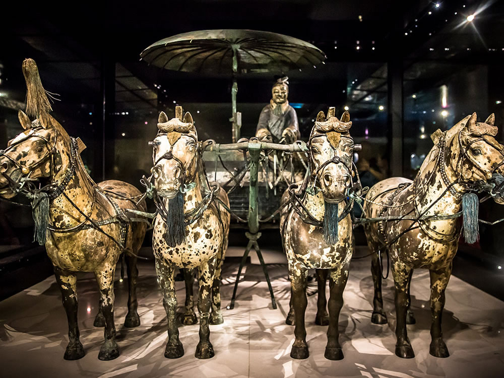 Family Trip: A Journey Back to 