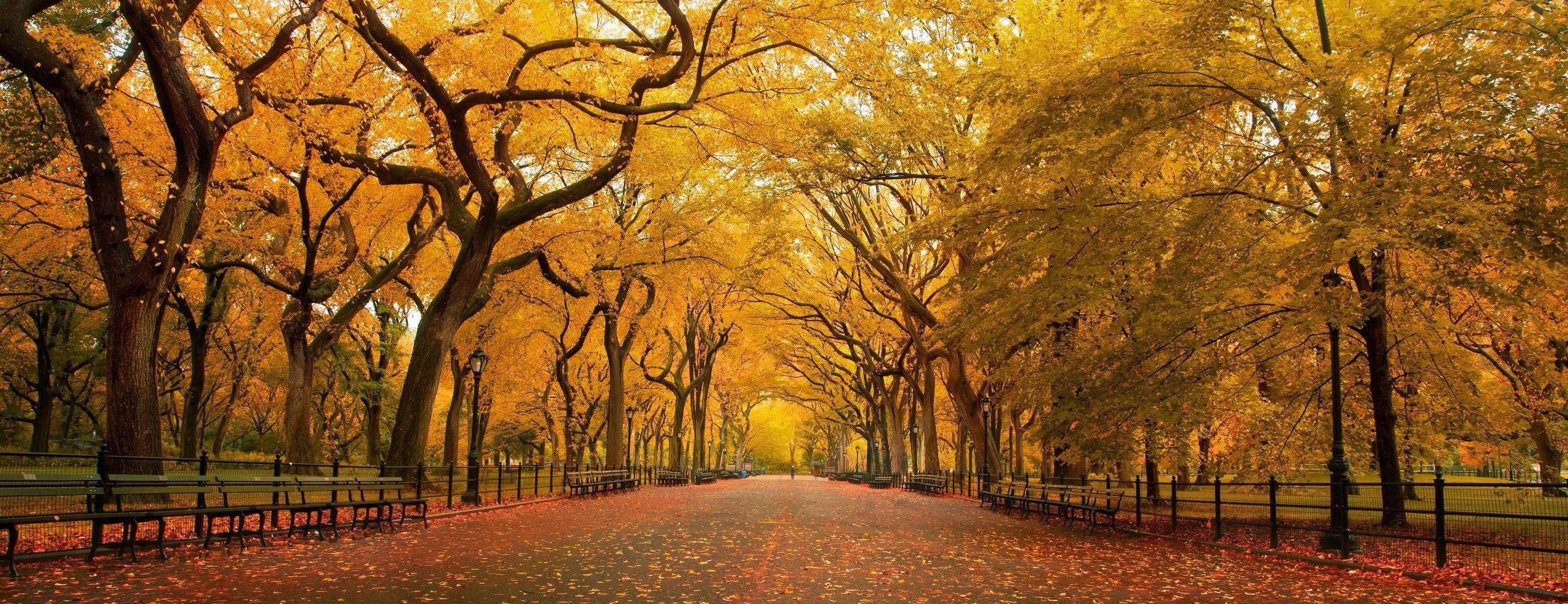 Dreaming of returning to Chang